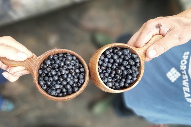 Berry Picking in a National Park - Returning through the park
