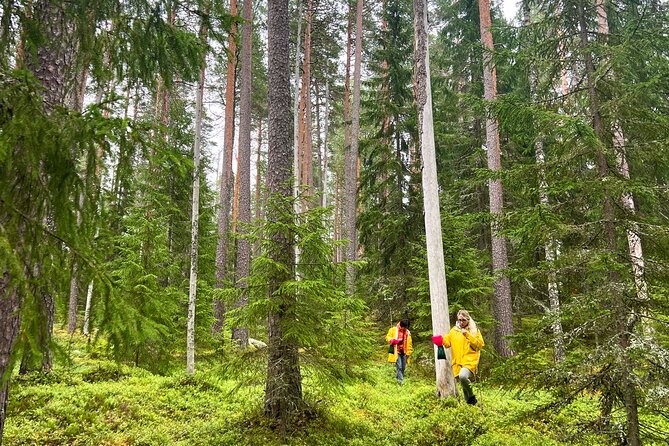 Berry Picking in a National Park - Why the group size matters