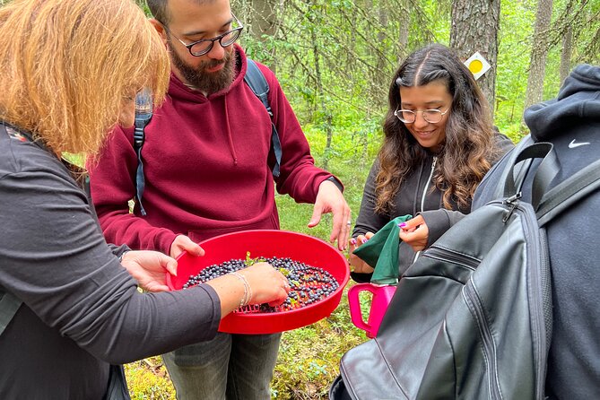 Berry Picking in a National Park - Is $186.64 a fair price?
