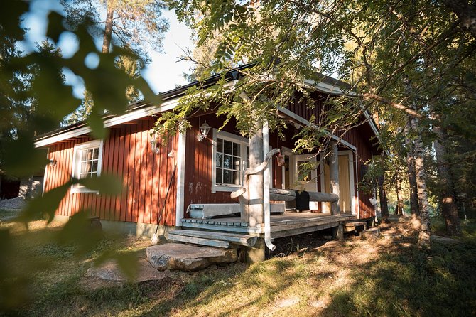 Best Of Lapland: Sauna, Ice swimming, Dinner & Northern Lights - What the $189.94 price includes