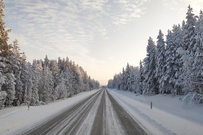 Best Of Lapland: Sauna, Ice swimming, Dinner & Northern Lights - Who should book this Rovaniemi activity?