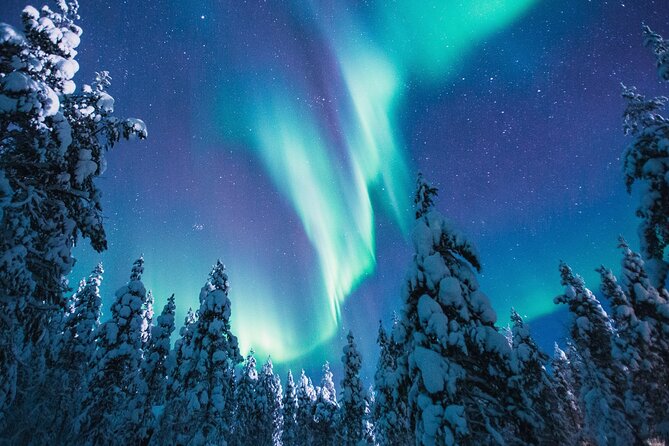 Bus Tour with Hunting Northern Lights - What happens at the viewing stops