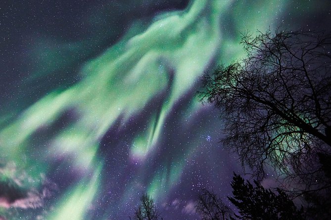 Capturing Auroras in Pyhä - Group size, pace, and personal attention