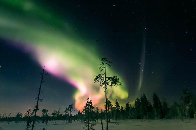 Capturing Auroras in Pyhä - Meeting at Hotel Pyhätunturi at 8 pm