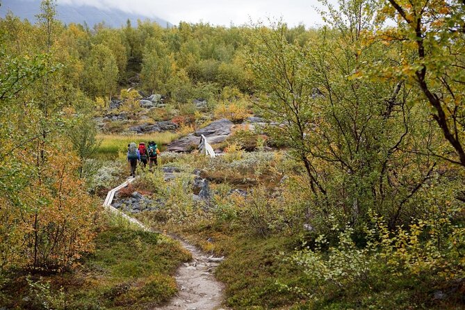 Classic Wilderness Skiing in the Pyhä-Luosto National Park - Why Altai skis change the usual Lapland lesson