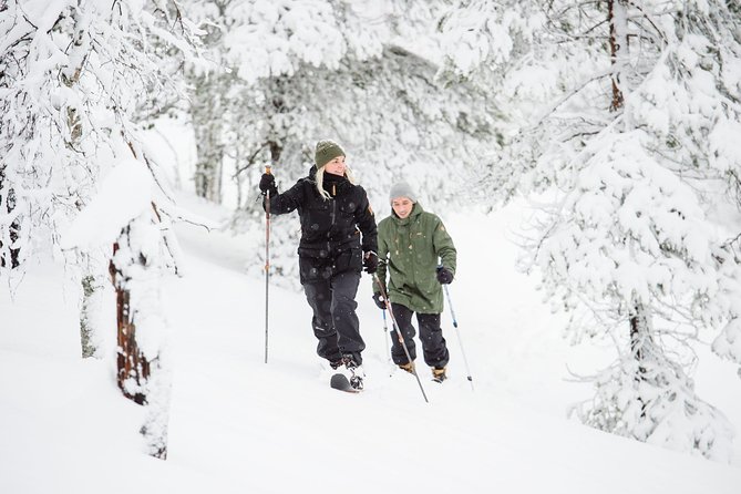 Classic Wilderness Skiing in the Pyhä-Luosto National Park - Meeting at Camp Kitchen and Bar in Pyhätunturi