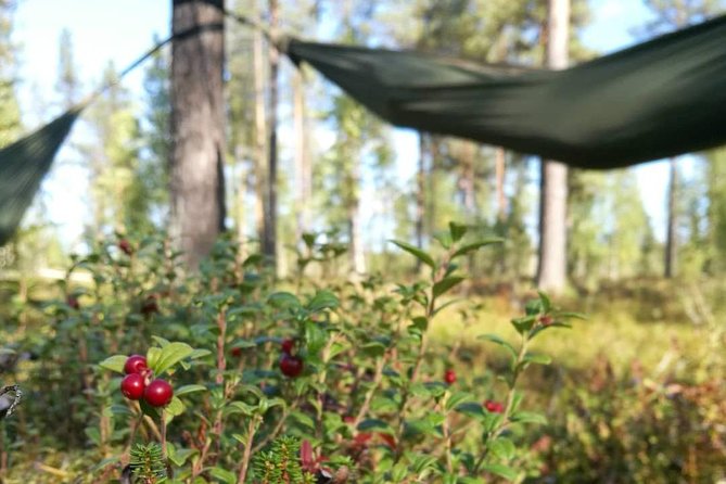 Cocooning in the HaliPuu forest: The ultimate Arctic hammock relaxation - Clothing is the difference between calm and discomfort