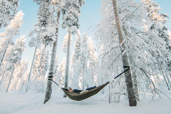 Cocooning in the HaliPuu forest: The ultimate Arctic hammock relaxation - HaliPuu and the trees saved from harvesting