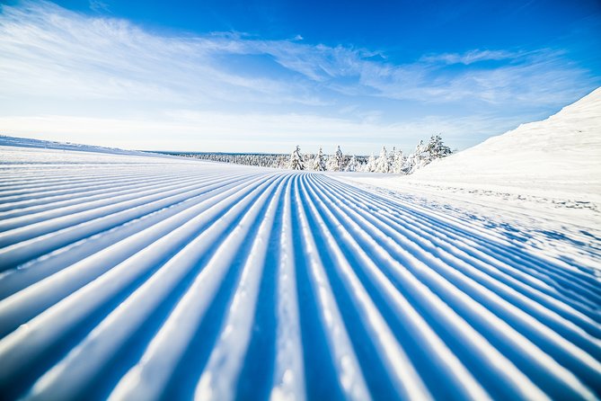 Cross-Country Skiing Trip - Classic tracks, gentle slopes, and optional skate skiing