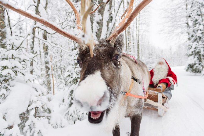 Daytour to Santa Claus Village, Reindeer and Husky Safaris, Photo, and Lunch - What the $382.76 price really buys you