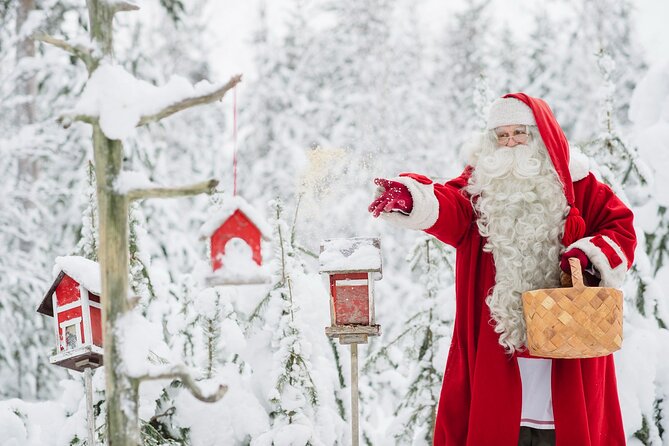 Daytour to Santa Claus Village, Reindeer and Husky Safaris, Photo, and Lunch - The 400-meter reindeer ride
