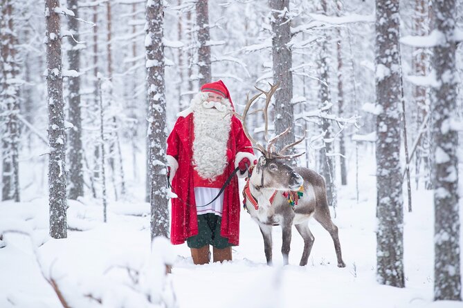 Daytour to Santa Claus Village, Reindeer and Husky Safaris, Photo, and Lunch - Lunch inside Santa Claus Village