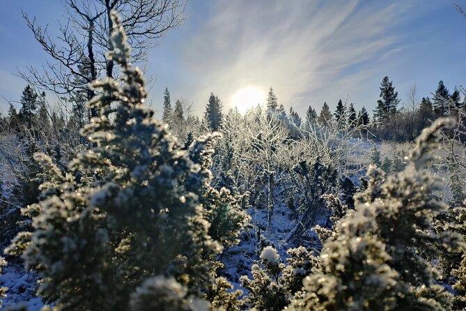 Discover Inari: Reindeer Farm, Siida Museum & Open Fire Lunch - Two hours at Siida, where the day gains its context