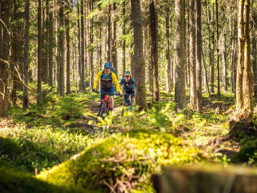 E-FatBike experience in small groups - From Hostel Cafe Koti to Ounasvaara’s winter forest
