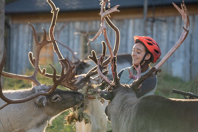 Electric Fatbike Trip to the Reindeer Farm - Why this trip works so well in Rovaniemi