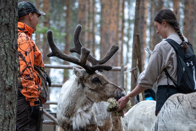 Electric Fatbike Trip to the Reindeer Farm - The first 45 minutes through Lapland forest