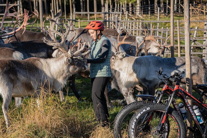 Electric Fatbike Trip to the Reindeer Farm - How difficult is the electric fatbike ride?