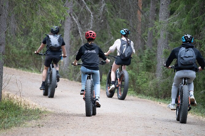 Electric Fatbike Trip to the Reindeer Farm - Meeting Nordic Odyssey at 8:30 am
