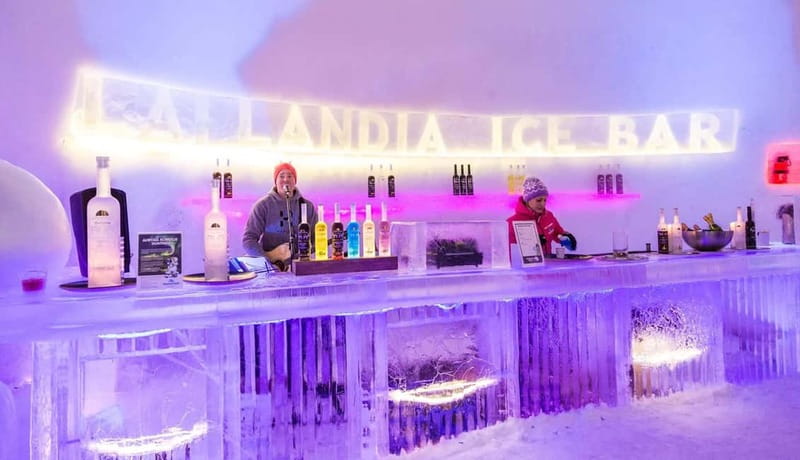 Entrance tickets to Snowman World and Snow Restaurant Dinner - The ice bar and the details that make it memorable