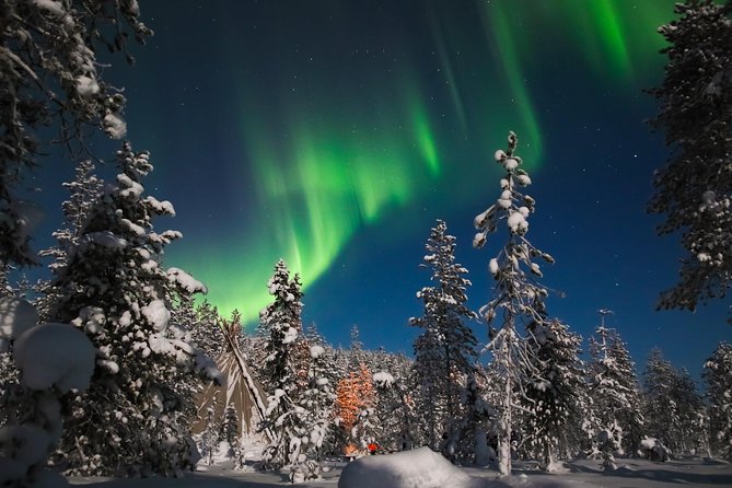 Evening Escape - Snowmobile safari and campfire in Rovaniemi - The forest campfire stop