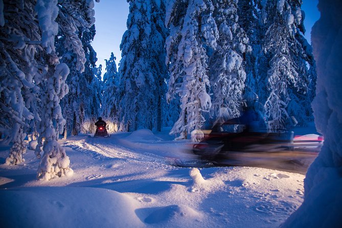 Evening Escape - Snowmobile safari and campfire in Rovaniemi - Who should book this evening safari?
