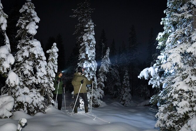 Evening Ski Trek to the Wilderness - Extra Small group - Key points to know before you book