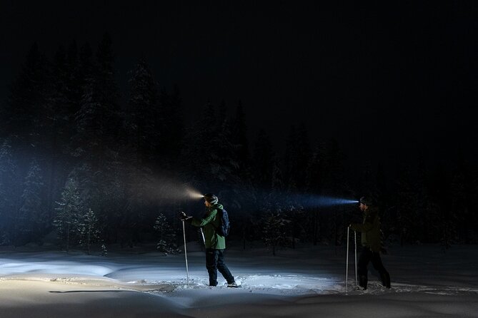 Evening Ski Trek to the Wilderness - Extra Small group - What the small group changes