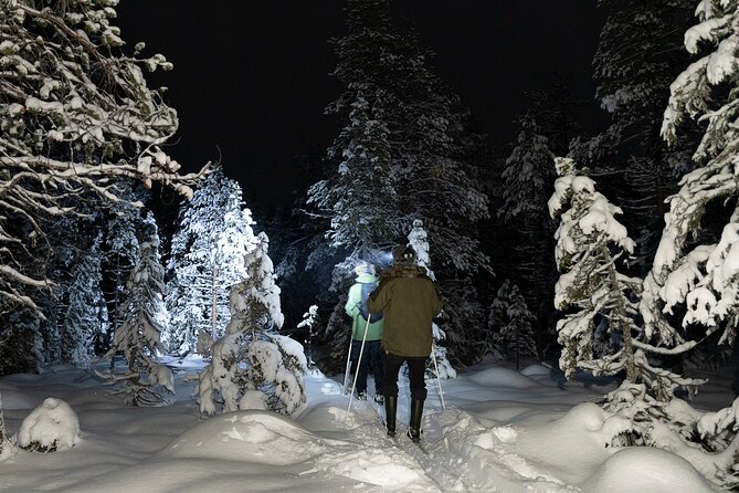 Evening Ski Trek to the Wilderness - Extra Small group - Three hours through snow and frozen swamps