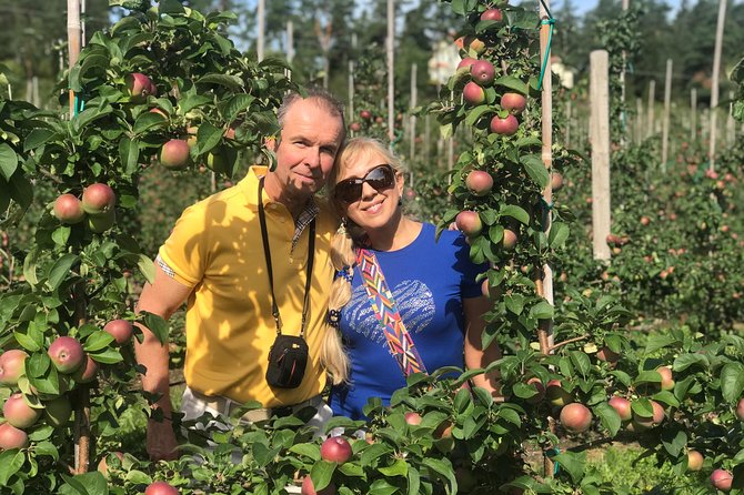 Experience the Best of Åland with a Private Guided Tour - Choose a local taste, from apples to Åland beer