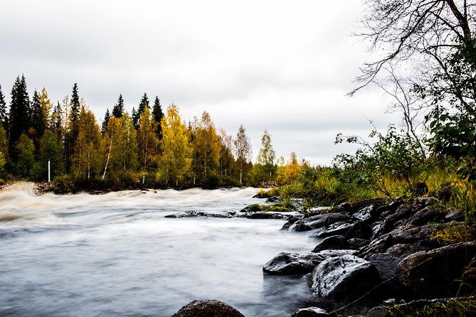 Explore the Wilderness (Summer & Autumn) - Starting at Beyond Arctic