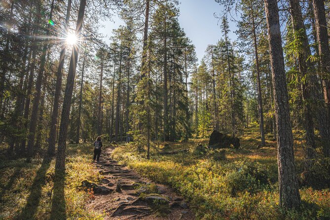 Explore the Wilderness (Summer & Autumn) - Is $159.48 a fair price?