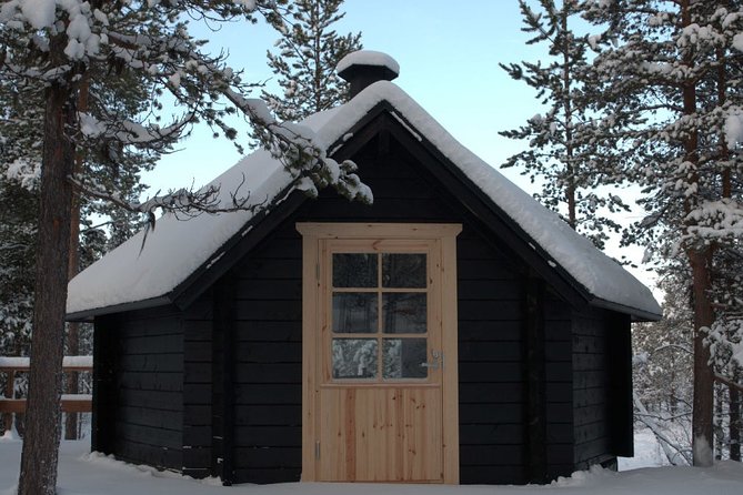 Explore Winter Woods: Snowshoe walk with local Biologist - Snowshoes, old trees, and quiet mires