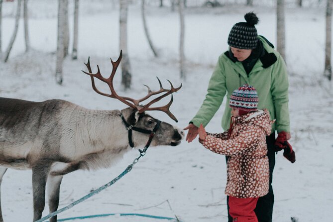 Family day: Reindeer, Husky and Snowmobiling in Levi - Key points at a glance