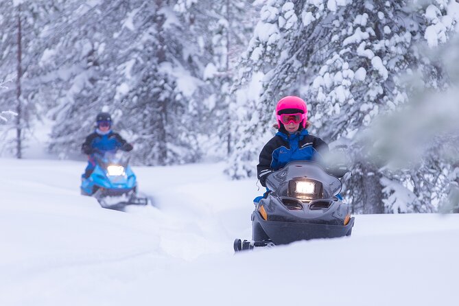 Family day: Reindeer, Husky and Snowmobiling in Levi - The husky farm: speed, noise, and a very short ride