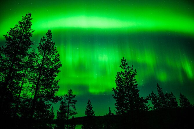 Family-Friendly: Northern Lights Adventure from Rovaniemi - A family outing that keeps children busy