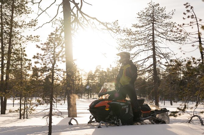Family Snowmobile Safari in Rovaniemi - Why the heated sleigh changes the family equation