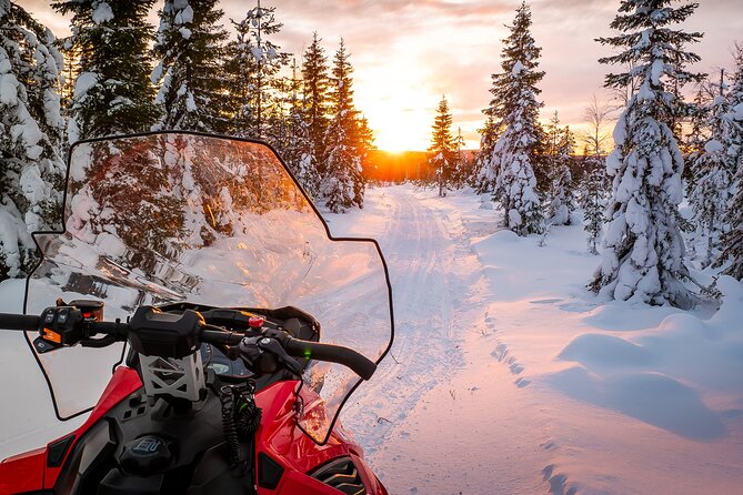 Family Snowmobile Safari in Rovaniemi - One hour through snowy forest