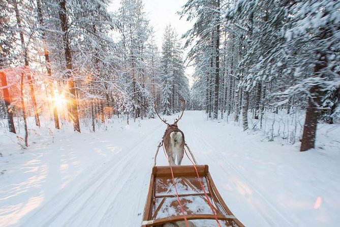 Forest Trail Reindeer Safari - Warm clothing and hot drinks make a real difference