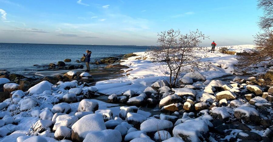 From Helsinki: Archipelago Excursion in Porkkalaniemi - Who should book this Porkkalaniemi outing?