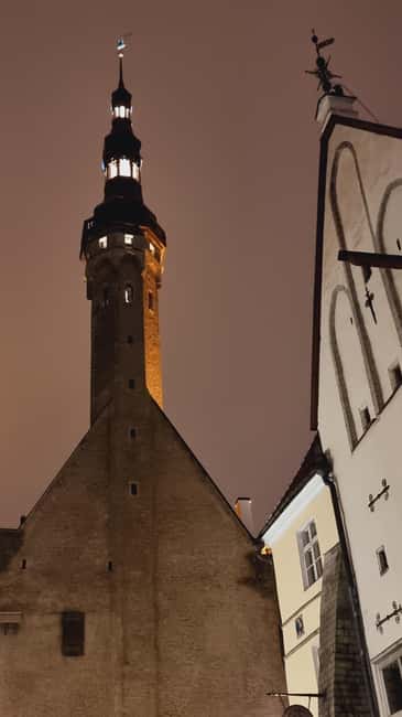 From Helsinki: Guided Day Trip to Tallinn by Ferry & VIP Car - Returning to Helsinki by ferry