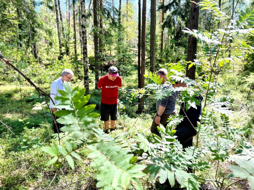 From Helsinki: Hike and Sauna in Sipoonkorpi National Park - From Kiasma to the Finnish forest