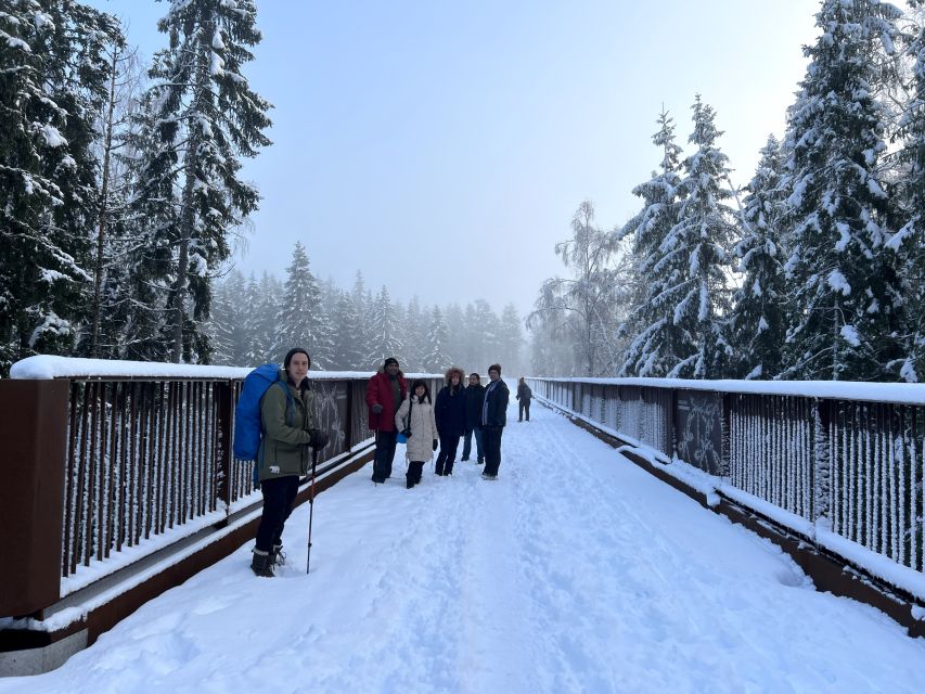 From Helsinki: Hike and Sauna in Sipoonkorpi National Park - Timing, transport, and the real value of $194