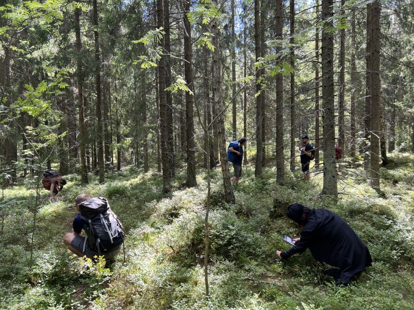 From Helsinki: Hike and Sauna in Sipoonkorpi National Park - A 6-kilometer walk through Sipoonkorpi