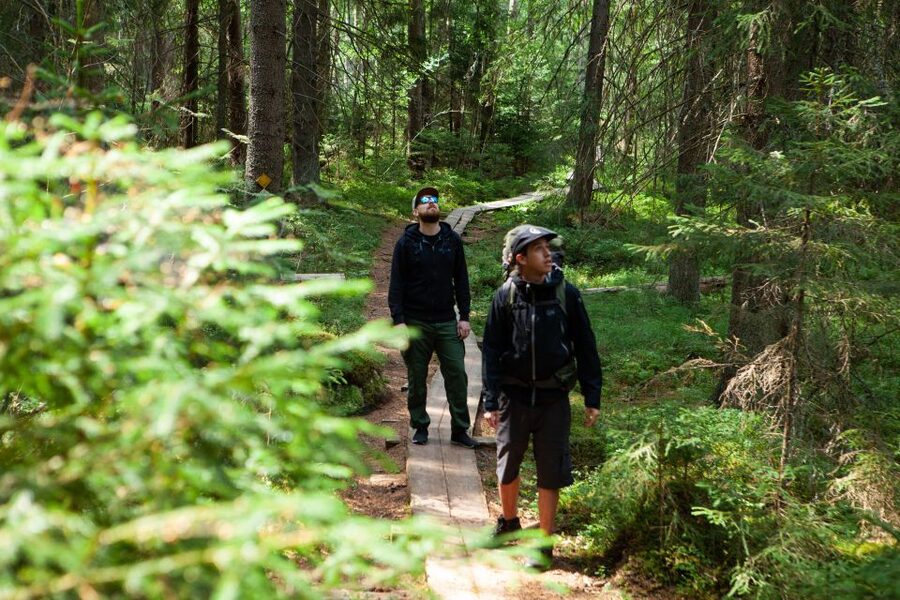 From Helsinki: Magical Taiga Hike in Liesjärvi National Park - Leaving Helsinki for Liesjärvi National Park