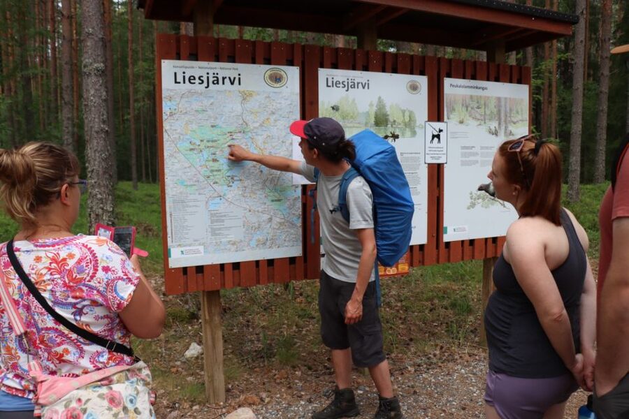 From Helsinki: Magical Taiga Hike in Liesjärvi National Park - The magic is in the quiet details