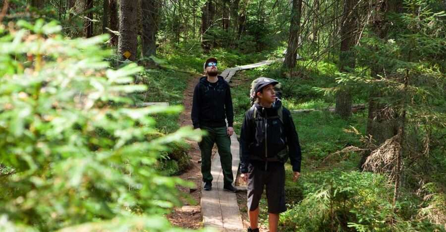 From Helsinki: Magical Taiga Hike in Liesjärvi National Park - The return walk and the rhythm of the day
