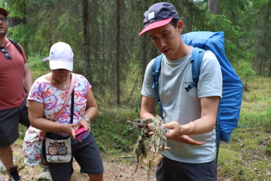 From Helsinki: Magical Taiga Hike in Liesjärvi National Park - Who will enjoy this day most
