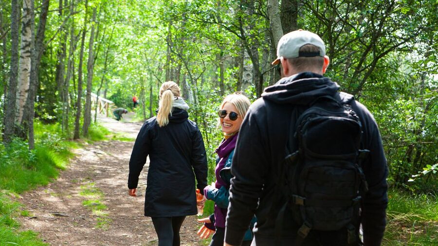 From Helsinki: Magical Taiga Hike in Liesjärvi National Park - A gentle but genuine introduction to Finnish hiking
