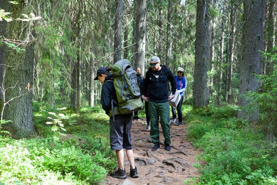 From Helsinki: Mushroom Hunting Tour in a National Park - A responsible way to visit the forest