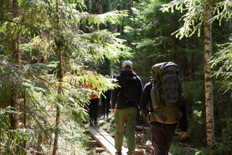 From Helsinki: Mushroom Hunting Tour in a National Park - Why a mushroom hunt beats a standard forest walk